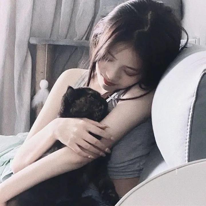 艳女证沉冤 海报